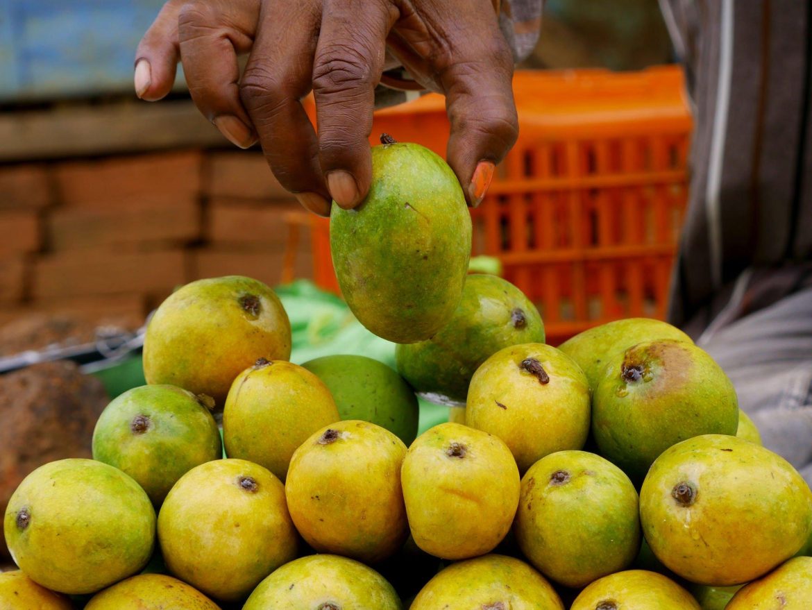 Challenges and Solutions for Exporting Mangoes to Australia: Insights ...