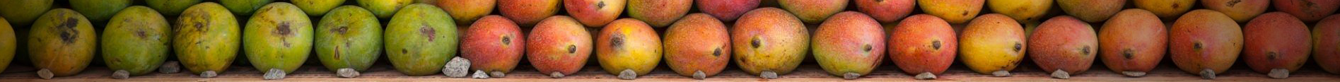 Australian mangoking Mangoes